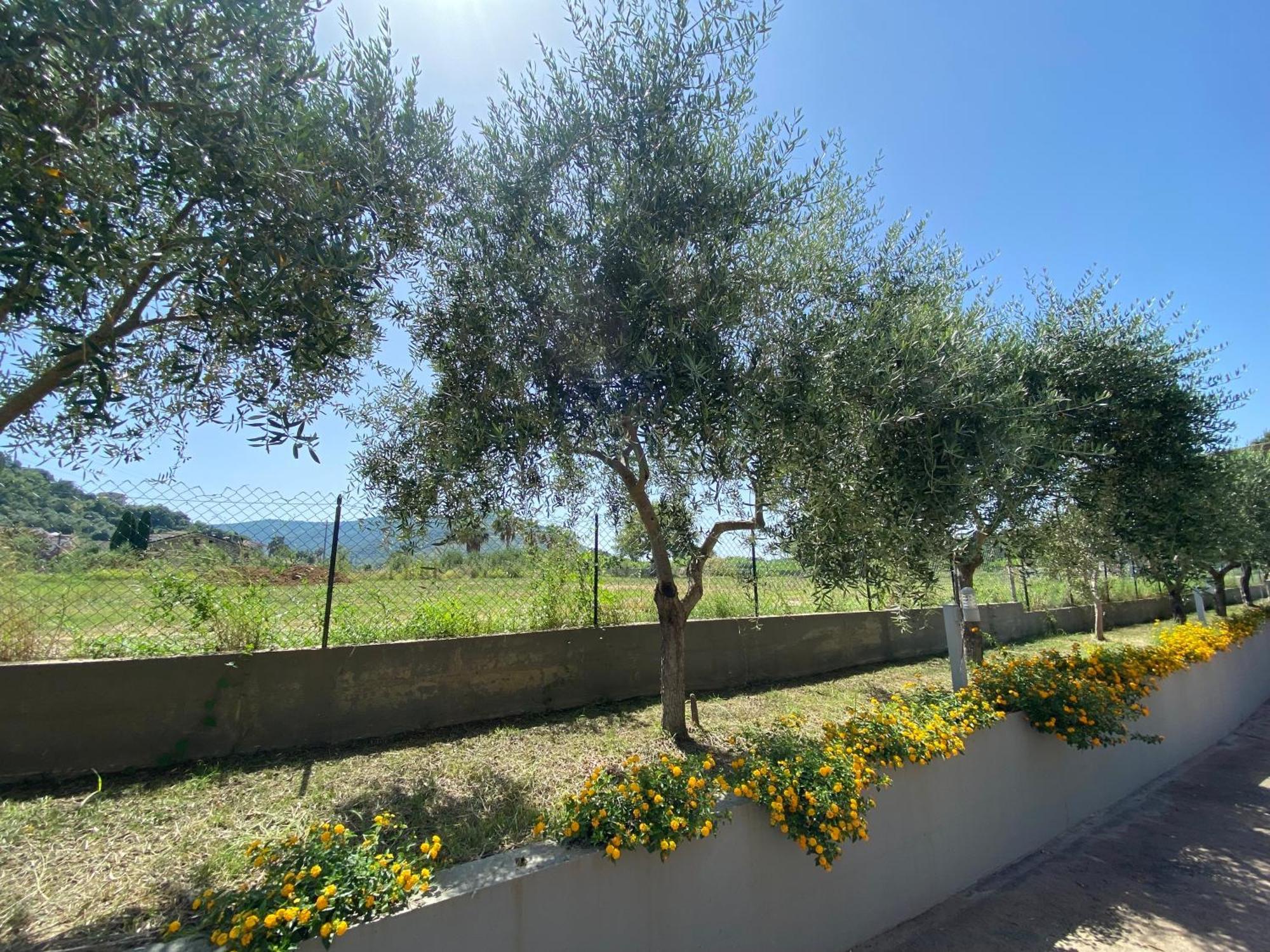 Miro' Agropoli Bed and Breakfast Eksteriør billede