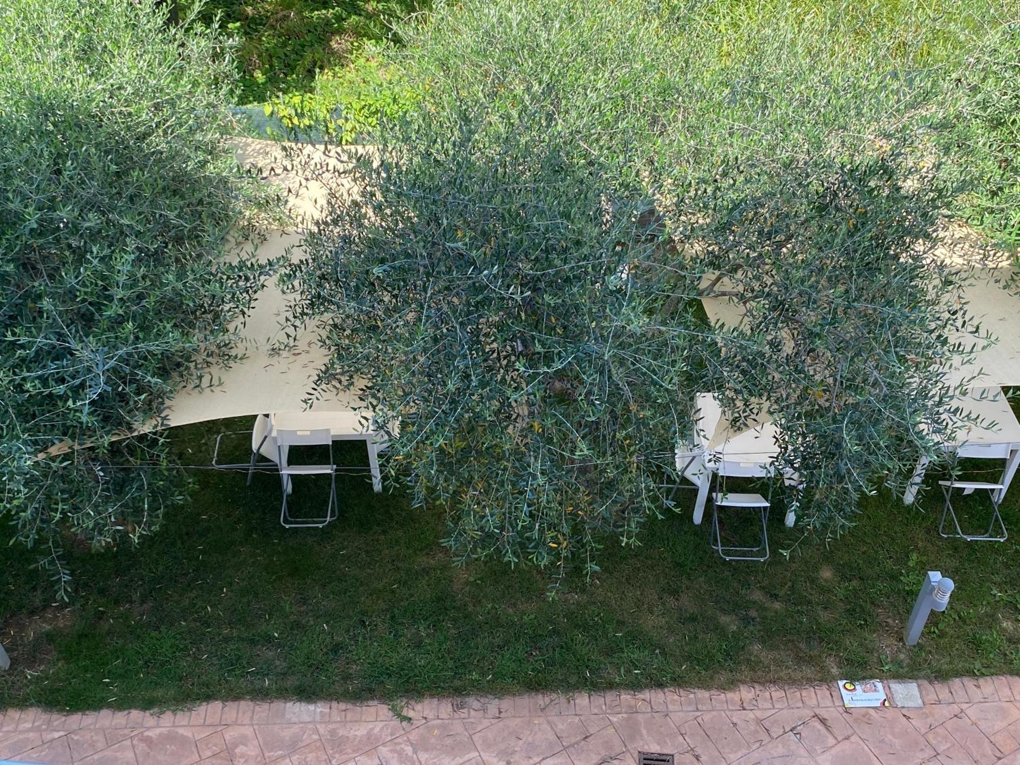 Miro' Agropoli Bed and Breakfast Eksteriør billede